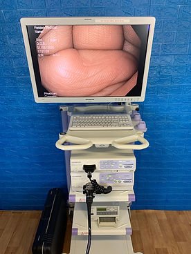  Endoscopy